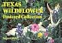 Texas Wildflower Postcard Collection (Natural World)