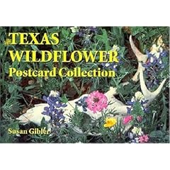 Texas Wildflower Postcard Collection (Natural World)