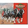 Desperate Enterprises Budweiser Clydesdales Collectible Metal Sign