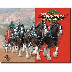 Desperate Enterprises Budweiser Clydesdales Collectible Metal Sign