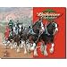 Desperate Enterprises Budweiser Clydesdales Collectible Metal Sign