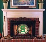 Michigan State University Spartans Fireplace Screen