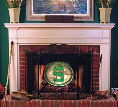 Michigan State University Spartans Fireplace Screen