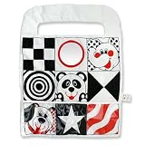 Bright Starts Car Activity Center by