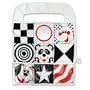 Bright Starts Car Activity Center