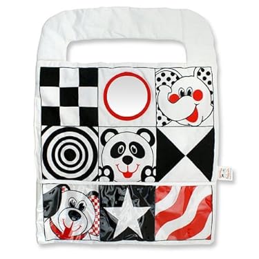 Bright Starts Car Activity Center