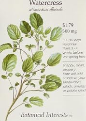 Watercress Seeds Nasturtium officialis 300 mg