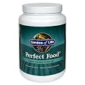 Garden of Life Perfect Food Super Green Formula, 21.16-Ounce Jar