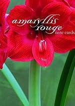 Amaryllis Rouge Note Cards