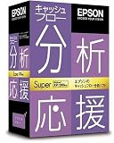 キャッシュフロー分析応援 Super