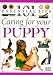 Puppy Care (101 Essential Tips)