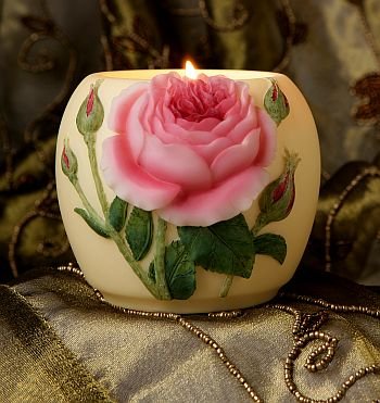 English Rose Flowers of & Orchid