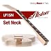Alston Guitars LP1SN LP Style Arched Top Single Cutaway Electric Guitar DIY Builder Kit | Set Neck