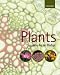 Price Comparison : Plants