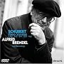 Schubert: Piano Sonatas, D784, 840, 894, 959, 960