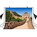 MEETS 7x5ft World Famous Architecture Backdrop Great Wall of China Vintage Brick Wall Background Photo booth studio props YouTube Backdrop MT418