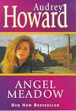 Angel Meadow