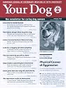 Your Dog