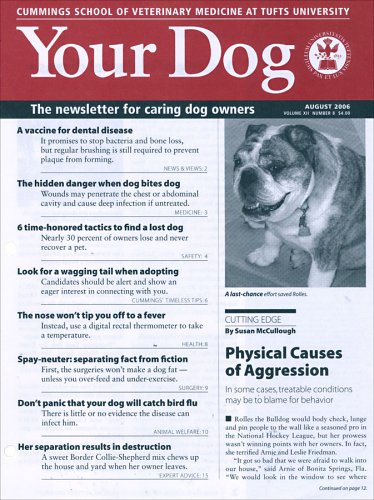 Your Dog