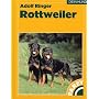 Rottweiler: Praktische Ratschläge für Haltung, Pflege und Erziehung