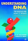 Understanding DNA : the molecule and how it works
