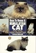 Guide to Owning Himalayan Cat
