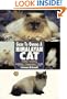 Guide to Owning Himalayan Cat