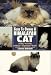   - Guide to Owning a Himalayan Cat: Feeding, Grooming Exhibition, Temperament, Health (Guide to Owning)