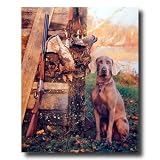 Hunting Dog Shotgun Bird Quail Home Decor Wall Picture 16x20 Art Print