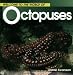 Welcome to the World of Octopus by Diane Swanson