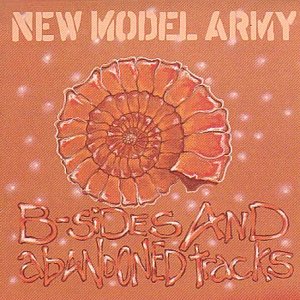 New Model Army - Curse Lyrics - Zortam Music