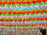 A South Korean Worker Decorates Lanterns to Celebrate Buddha's Upcoming Birthday Photographic Poster Print, 40x30