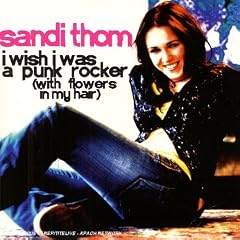 I Wish I Was a Punk Rocker