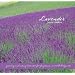 Lavender: Growing & Using Lavender for Fragrance, Mood & Body Care