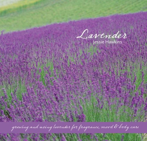 Lavender
