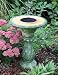 E-V Fierenza Solar Bird Bath Fountain In Moss