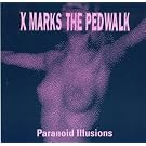 Paranoid Illusions