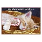 Kitten with Candy Cane Boxed Holiday Cards by  Sellers Publishing