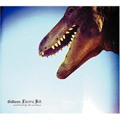 Goddamn Electric Bill - Swallowed By The Machines