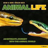 Animal Life (Nature)