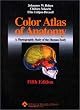 Color Atlas of Anatomy: A Photographic Study of the Human Body