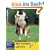 Mit Hunden spielen: Besch�ftigung f�r jede Jahreszeit