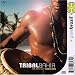 Pure Brazil: Tribal Bahia - The Best of Timbalada Image of Pure Brazil: Tribal Bahia - The Best of Timbalada