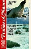 Review Start Audio and Video  / Profiles Of Nature - The Harp Seal / The Grey Seals Of Sable Land