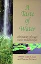 A Taste of Water: Christianity Through Taoist-Buddhist Eyes