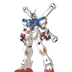 GUNDAM FIX FIGURATION #0031 クロスボーンガンダムX-3