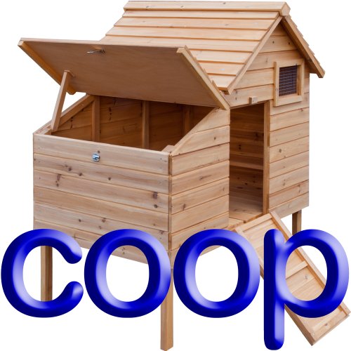 Cheapest Chicken Coop Large Hen house Poultry shed (for up to 6