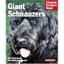 Giant Schnauzers (Pet Owner's Manual)