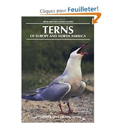 Terns of Europe and North America