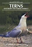 Terns of Europe and North America (Helm Identification Guides)